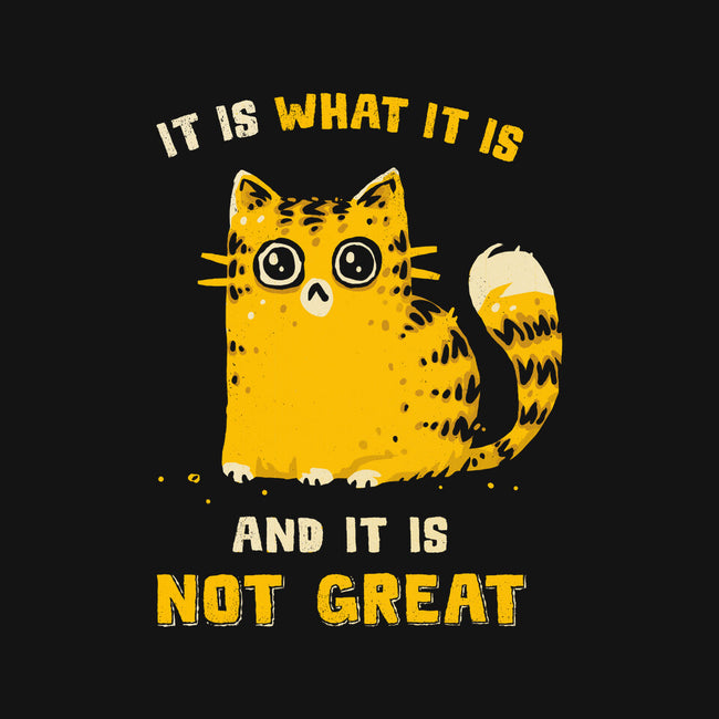 It Is Not Great-None-Fleece-Blanket-kg07