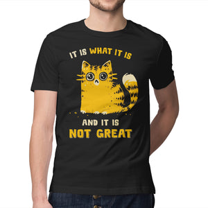 It Is Not Great