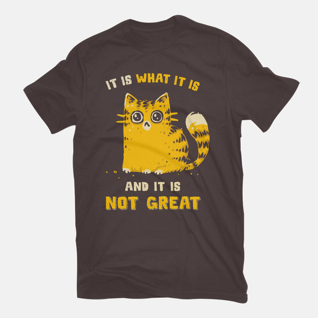 It Is Not Great-Womens-Basic-Tee-kg07