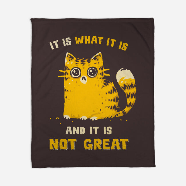 It Is Not Great-None-Fleece-Blanket-kg07