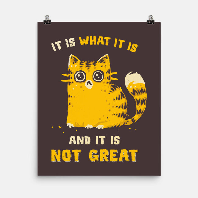 It Is Not Great-None-Matte-Poster-kg07