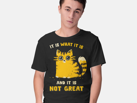 It Is Not Great