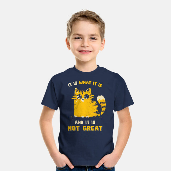 It Is Not Great-Youth-Basic-Tee-kg07