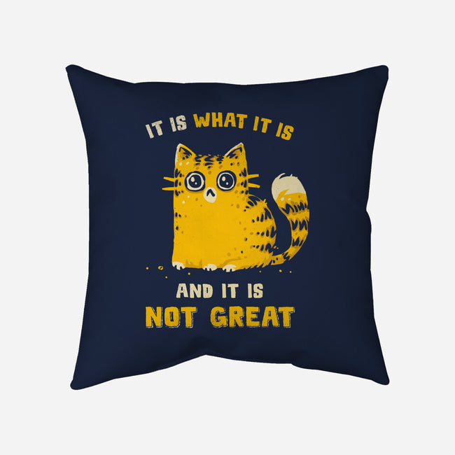 It Is Not Great-None-Removable Cover w Insert-Throw Pillow-kg07