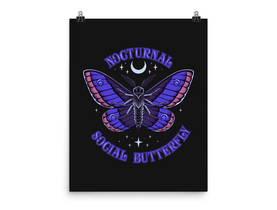 Nocturnal Social Butterfly