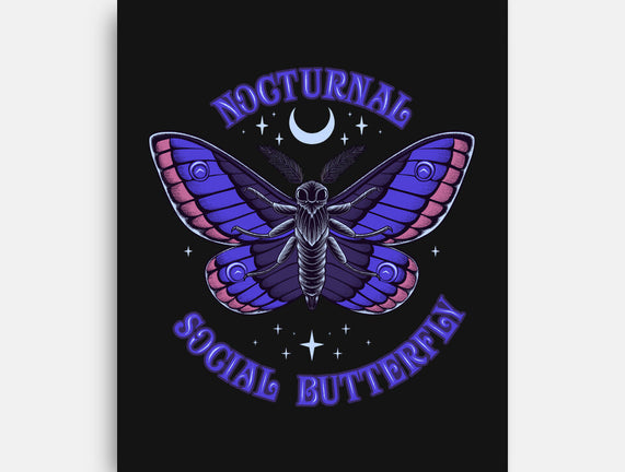 Nocturnal Social Butterfly