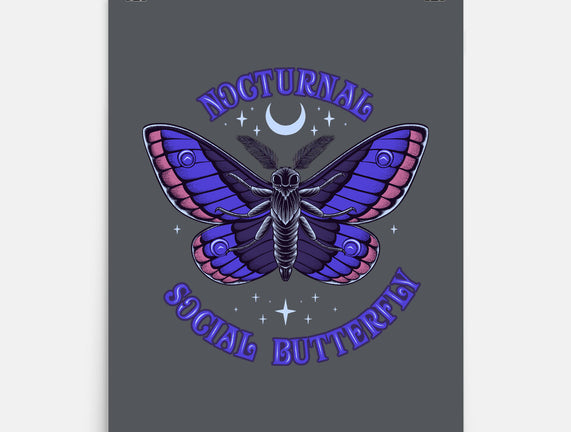 Nocturnal Social Butterfly