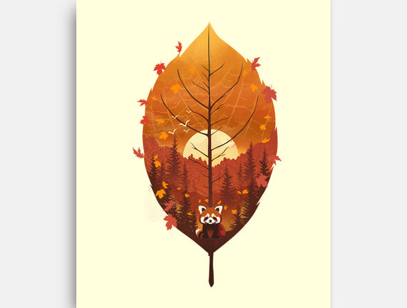 Red Leaf Panda