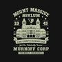 Mount Massive Asylum Vintage-Womens-V-Neck-Tee-LAGELANTEE