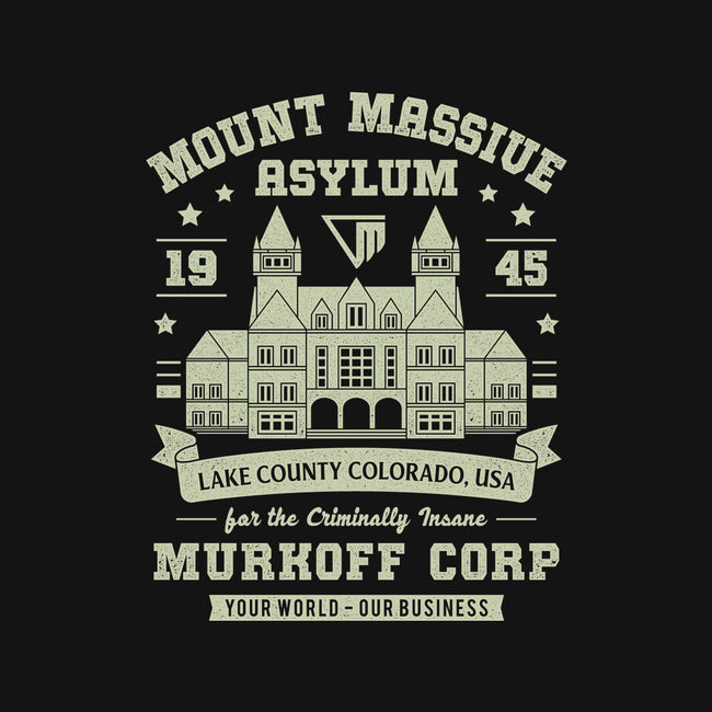 Mount Massive Asylum Vintage-Youth-Crew Neck-Sweatshirt-LAGELANTEE