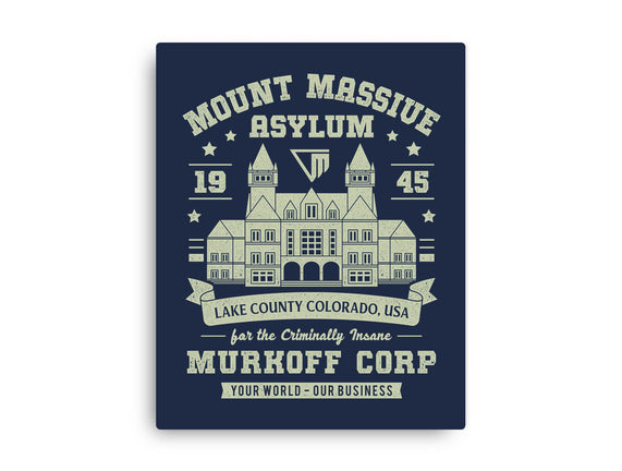 Mount Massive Asylum Vintage