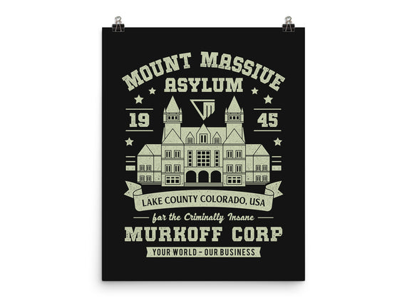 Mount Massive Asylum Vintage