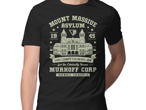 Mount Massive Asylum Vintage