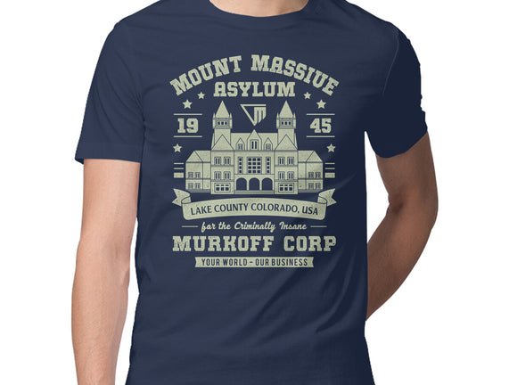 Mount Massive Asylum Vintage