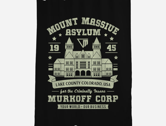 Mount Massive Asylum Vintage