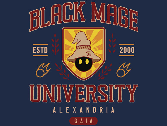 Black Mage University