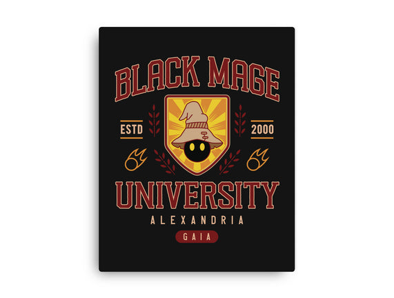 Black Mage University