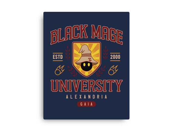 Black Mage University