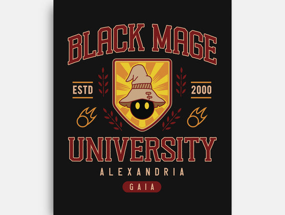 Black Mage University