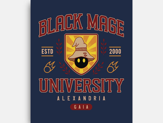 Black Mage University