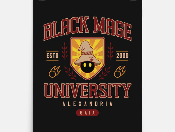 Black Mage University