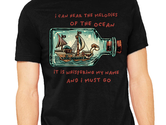 Pirate Ship In A Bottle