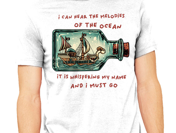 Pirate Ship In A Bottle