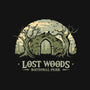 Lost Woods National Park-Womens-V-Neck-Tee-retrodivision