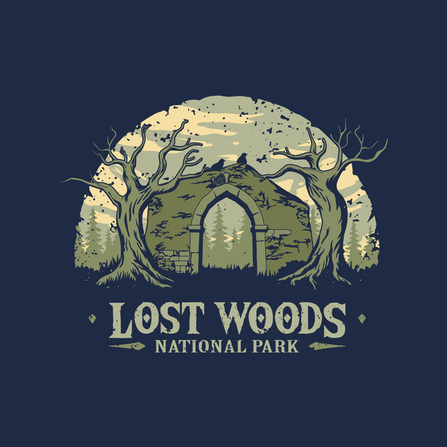 Lost Woods National Park-Mens-Basic-Tee-retrodivision