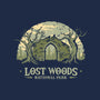 Lost Woods National Park-Mens-Long Sleeved-Tee-retrodivision