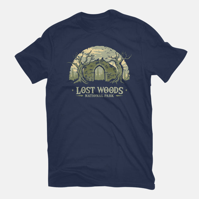 Lost Woods National Park-Mens-Heavyweight-Tee-retrodivision