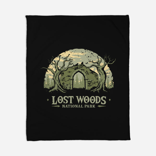 Lost Woods National Park-None-Fleece-Blanket-retrodivision