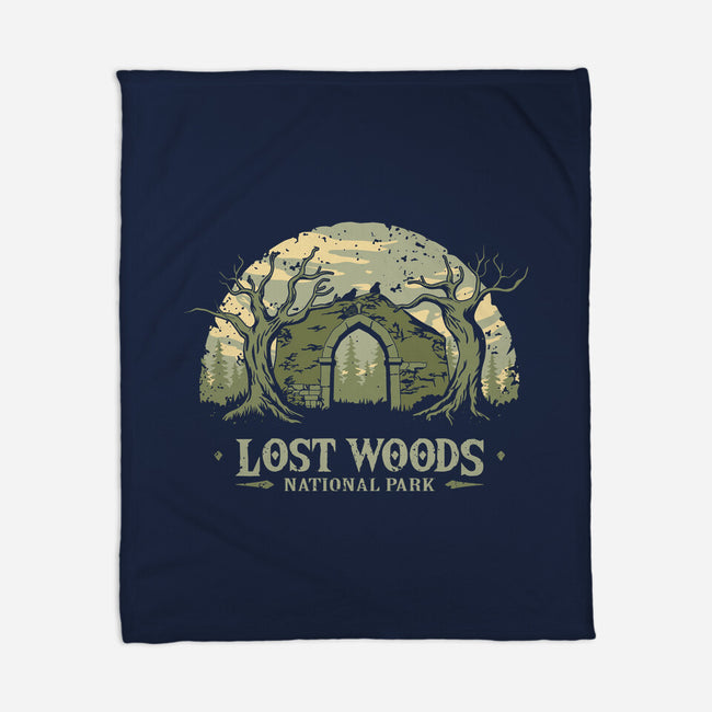 Lost Woods National Park-None-Fleece-Blanket-retrodivision