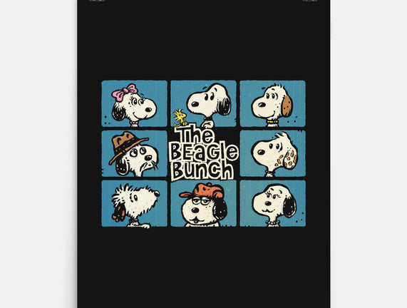 The Beagle Bunch