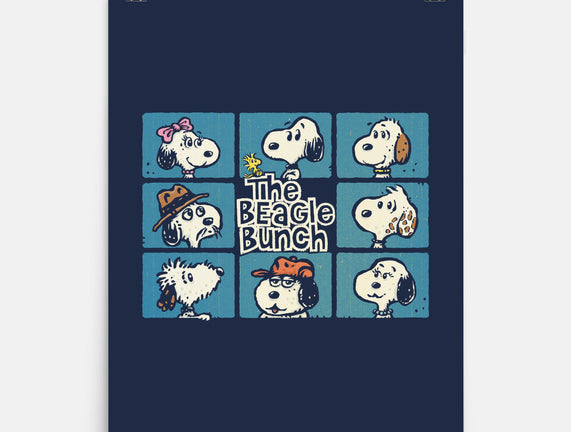 The Beagle Bunch