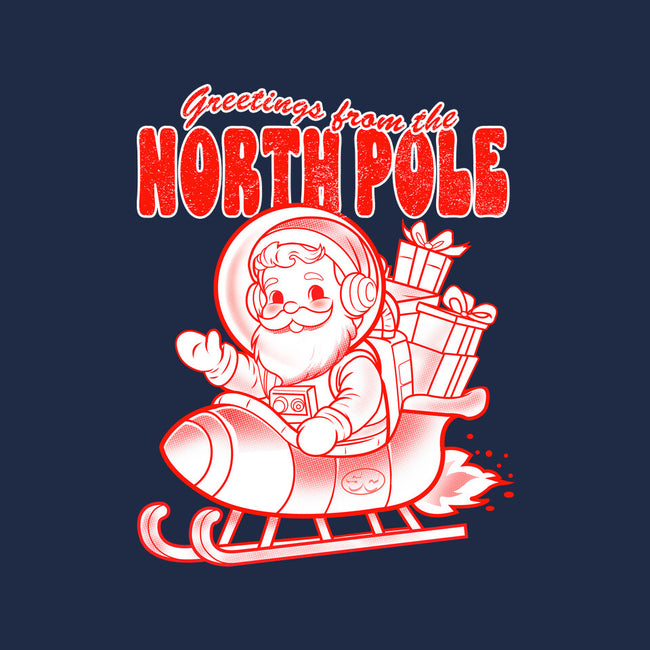 Greetings From The North Pole-Youth-Basic-Tee-palmstreet