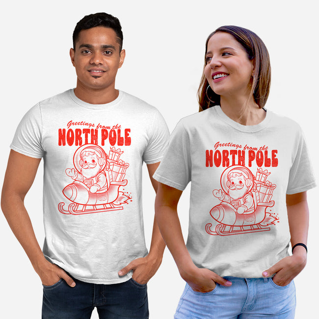 Greetings From The North Pole-Unisex-Basic-Tee-palmstreet