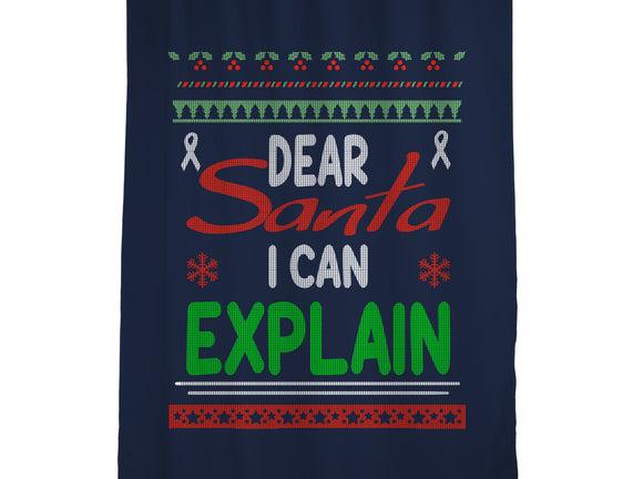 Dear Santa I Can Explain