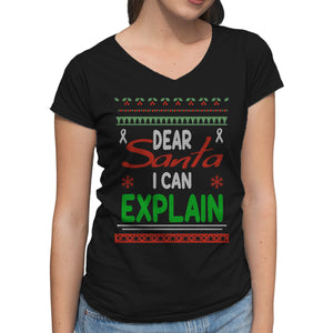 Dear Santa I Can Explain