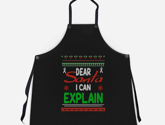 Dear Santa I Can Explain