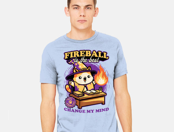 Wizard Cat Fireball