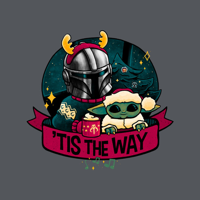 Tis The Way-Womens-Basic-Tee-teesgeex