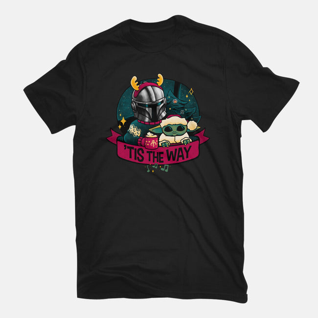 Tis The Way-Womens-Basic-Tee-teesgeex
