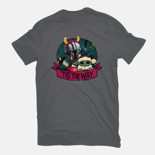 Tis The Way-Womens-Basic-Tee-teesgeex
