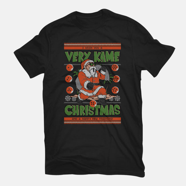 A Very Kame Christmas-Womens-Fitted-Tee-Arinesart