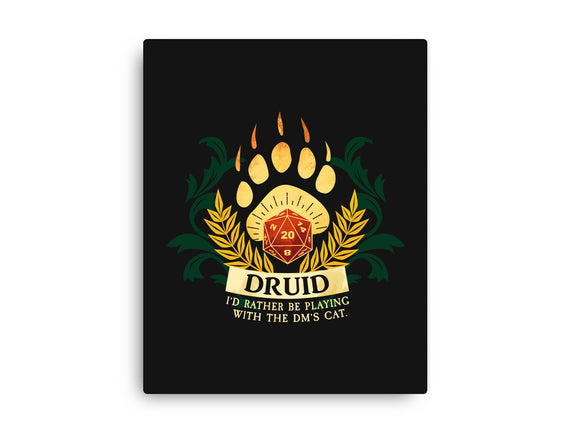 Druid D20