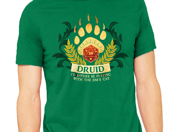 Druid D20