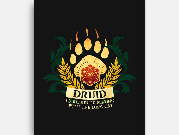 Druid D20