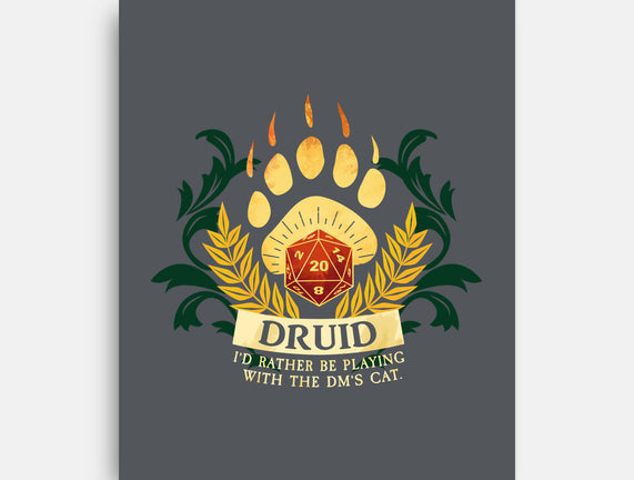 Druid D20