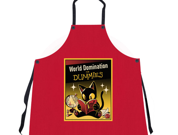 World Domination For Dummies